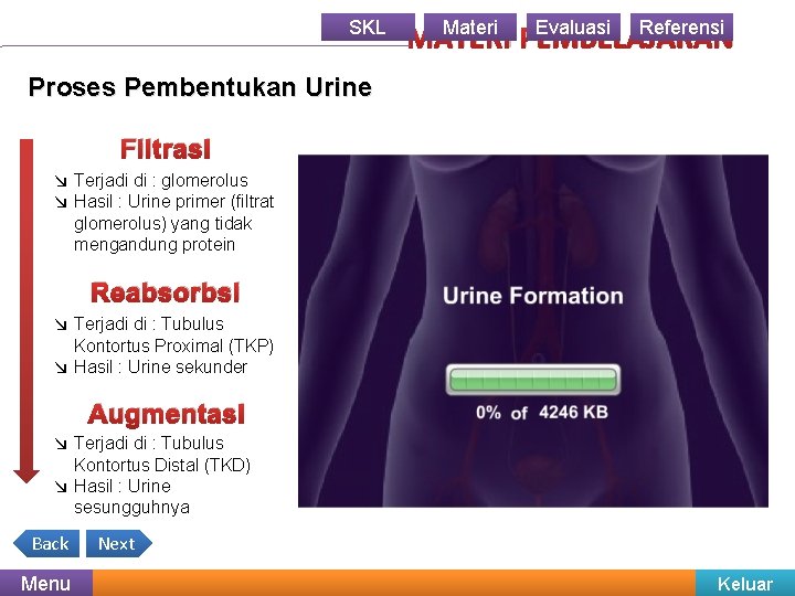 SKL Materi Evaluasi Referensi MATERI PEMBELAJARAN Proses Pembentukan Urine Filtrasi ↘ Terjadi di :