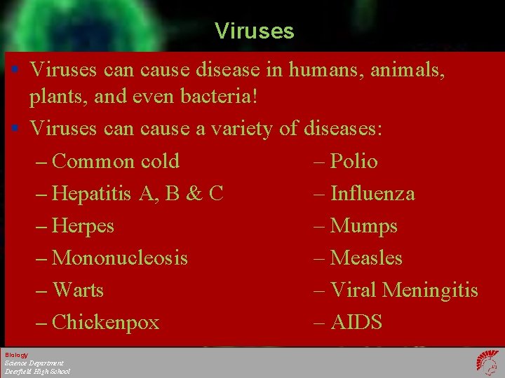 Viruses § Viruses can cause disease in humans, animals, plants, and even bacteria! §