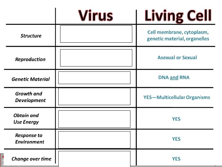 Biology Science Department Deerfield High School 