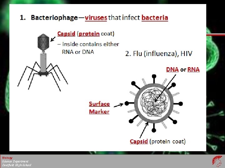 Biology Science Department Deerfield High School 