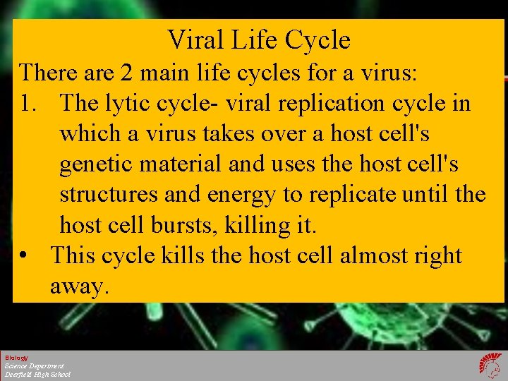 Viral Life Cycle There are 2 main life cycles for a virus: 1. The