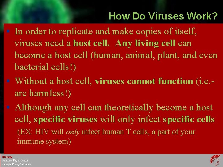 How Do Viruses Work? § In order to replicate and make copies of itself,