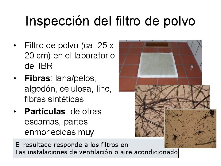 Inspección del filtro de polvo • Filtro de polvo (ca. 25 x 20 cm)