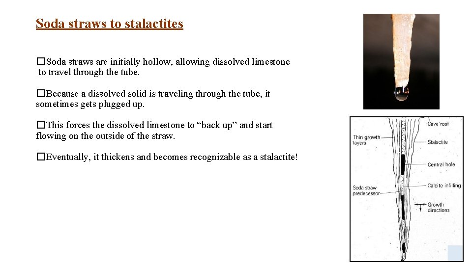 Soda straws to stalactites �Soda straws are initially hollow, allowing dissolved limestone to travel