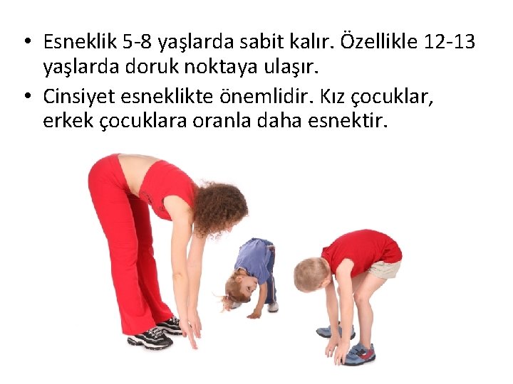 • Esneklik 5 -8 yaşlarda sabit kalır. Özellikle 12 -13 yaşlarda doruk noktaya • Esneklik 5 -8 yaşlarda sabit kalır. Özellikle 12 -13 yaşlarda doruk noktaya