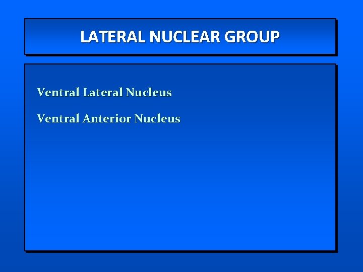 LATERAL NUCLEAR GROUP Ventral Lateral Nucleus Ventral Anterior Nucleus 