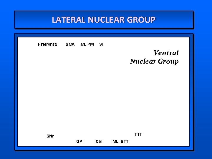 LATERAL NUCLEAR GROUP Prefrontal SMA MI, PM SI Ventral Nuclear Group TTT SNr GPi