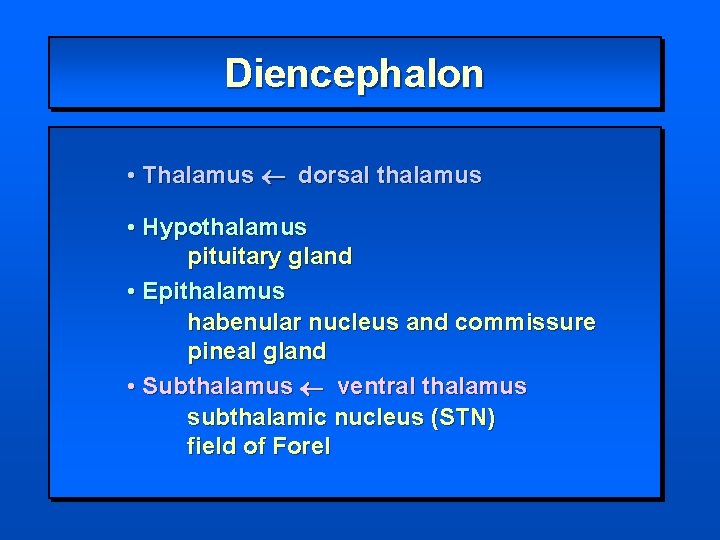 Diencephalon • Thalamus dorsal thalamus • Hypothalamus pituitary gland • Epithalamus habenular nucleus and