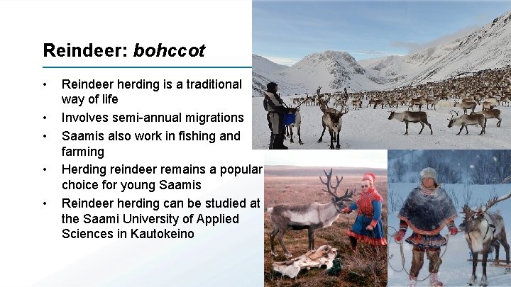 Discrimination and loss of complexity in an indigenous