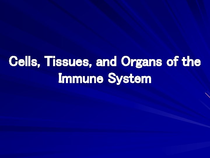Cells, Tissues, and Organs of the Immune System 