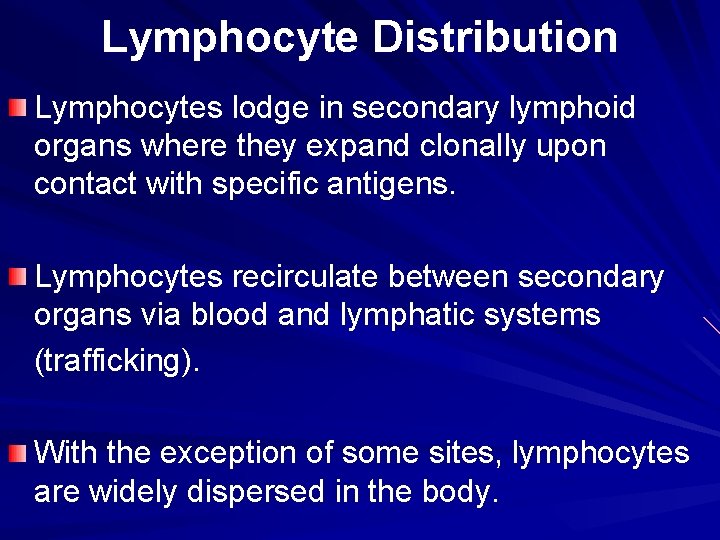 Lymphocyte Distribution Lymphocytes lodge in secondary lymphoid organs where they expand clonally upon contact