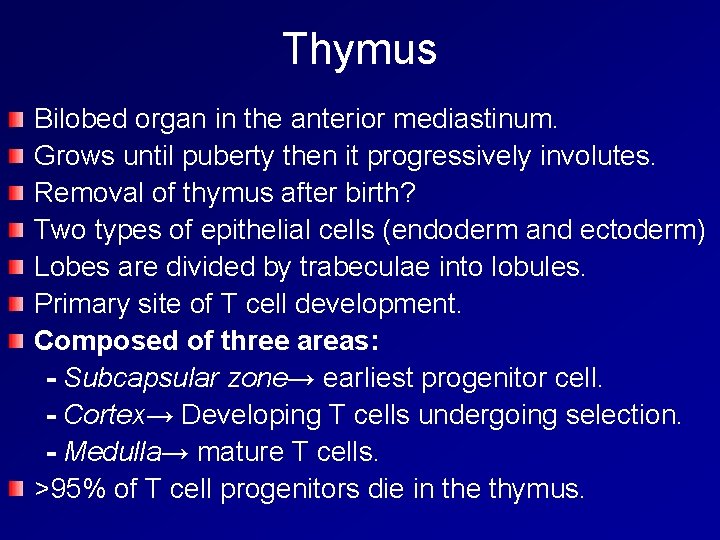 Thymus Bilobed organ in the anterior mediastinum. Grows until puberty then it progressively involutes.