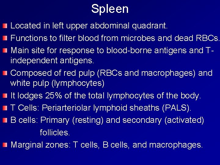Spleen Located in left upper abdominal quadrant. Functions to filter blood from microbes and