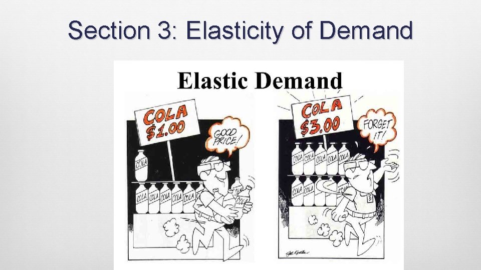 Section 3: Elasticity of Demand 