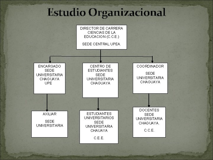 Estudio Organizacional DIRECTOR DE CARRERA CIENCIAS DE LA EDUCACION (C. C. E. ) SEDE