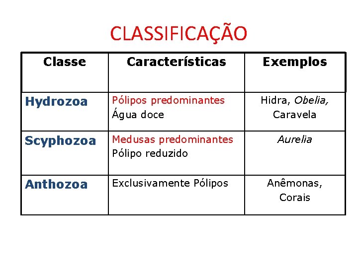 CLASSIFICAÇÃO Classe Características Exemplos Hydrozoa Pólipos predominantes Água doce Hidra, Obelia, Caravela Scyphozoa Medusas