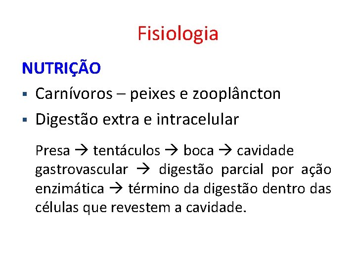 Fisiologia NUTRIÇÃO § Carnívoros – peixes e zooplâncton § Digestão extra e intracelular Presa Fisiologia NUTRIÇÃO § Carnívoros – peixes e zooplâncton § Digestão extra e intracelular Presa
