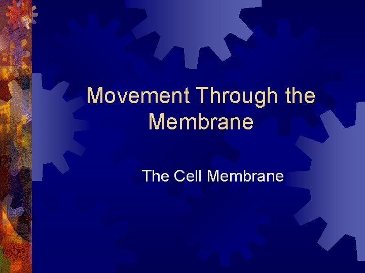 Movement Through the Membrane The Cell Membrane 