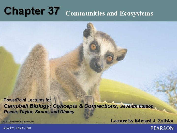 Chapter 37 Communities and Ecosystems Power. Point Lectures for Campbell Biology: Concepts & Connections,