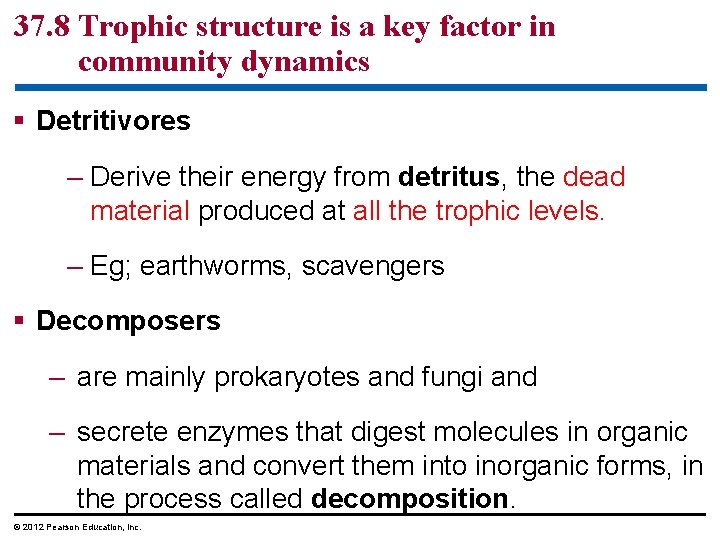 37. 8 Trophic structure is a key factor in community dynamics § Detritivores –