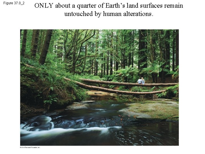 Figure 37. 0_2 ONLY about a quarter of Earth’s land surfaces remain untouched by