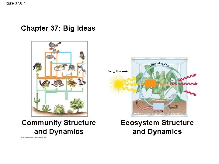 Figure 37. 0_1 Chapter 37: Big Ideas emical cycli ng Ch Energy flow Community