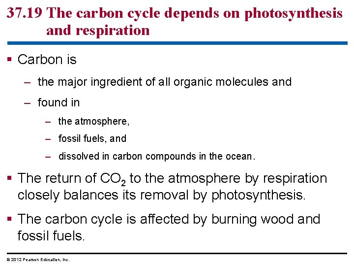 37. 19 The carbon cycle depends on photosynthesis and respiration § Carbon is –