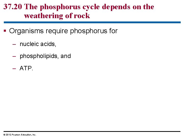 37. 20 The phosphorus cycle depends on the weathering of rock § Organisms require