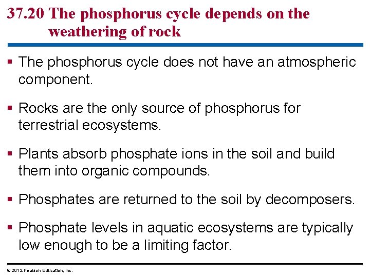37. 20 The phosphorus cycle depends on the weathering of rock § The phosphorus