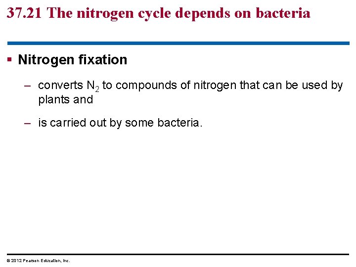 37. 21 The nitrogen cycle depends on bacteria § Nitrogen fixation – converts N