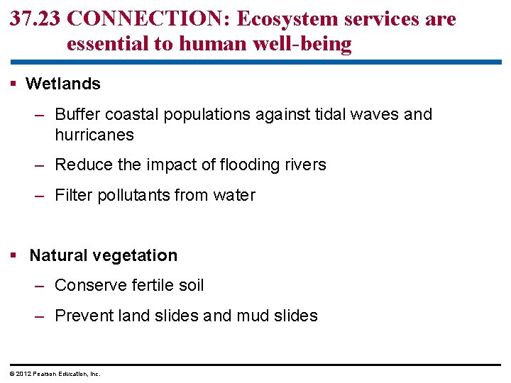 37. 23 CONNECTION: Ecosystem services are essential to human well-being § Wetlands – Buffer
