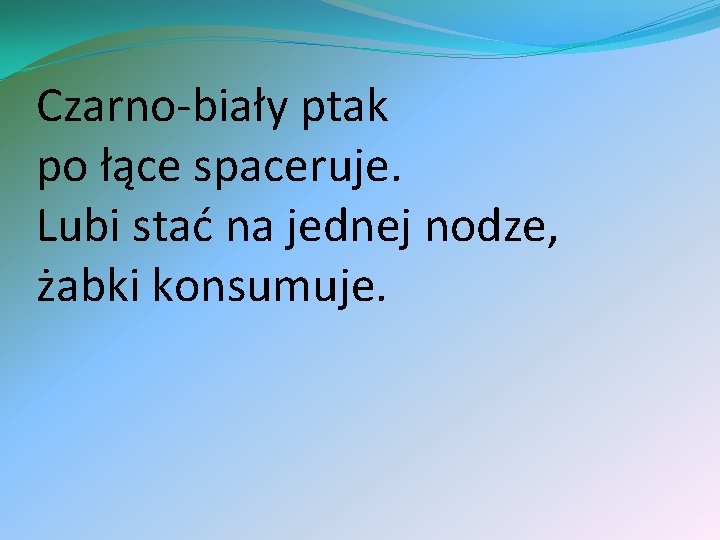 Czarno-biały ptak po łące spaceruje. Lubi stać na jednej nodze, żabki konsumuje. 