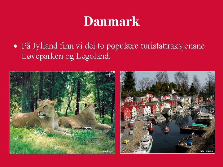 Danmark · På Jylland finn vi dei to populære turistattraksjonane Løveparken og Legoland. Foto: