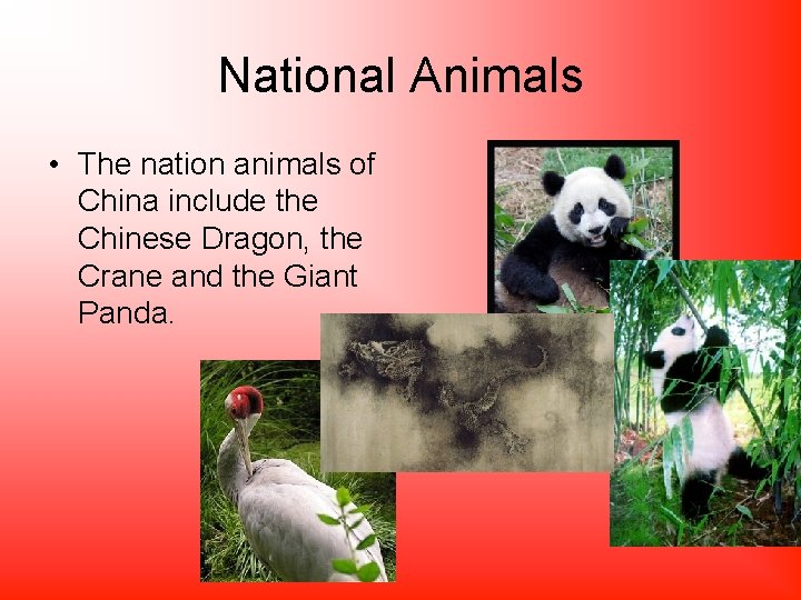 National Animals • The nation animals of China include the Chinese Dragon, the Crane