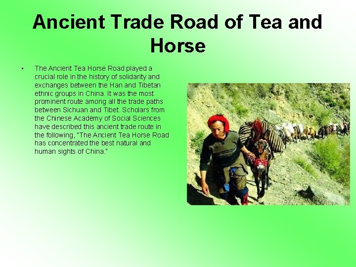 Ancient Trade Road of Tea and Horse • The Ancient Tea Horse Road played