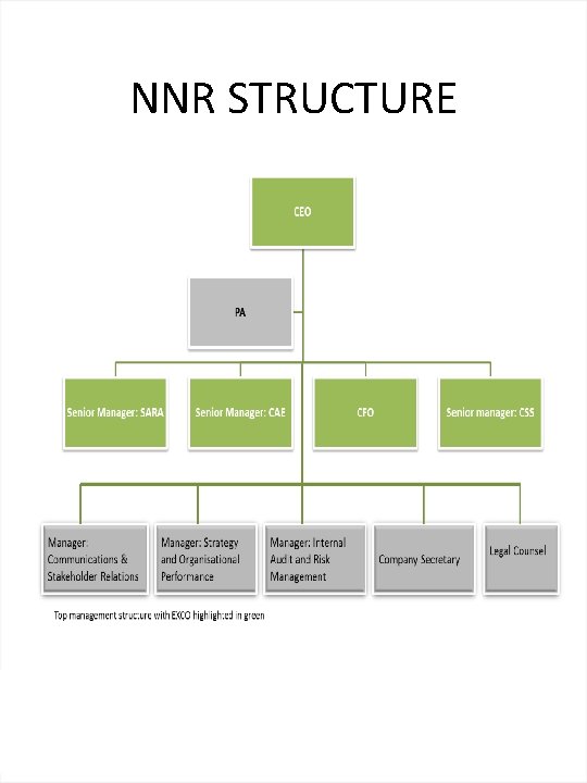 NNR STRUCTURE 