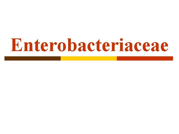 Enterobacteriaceae 