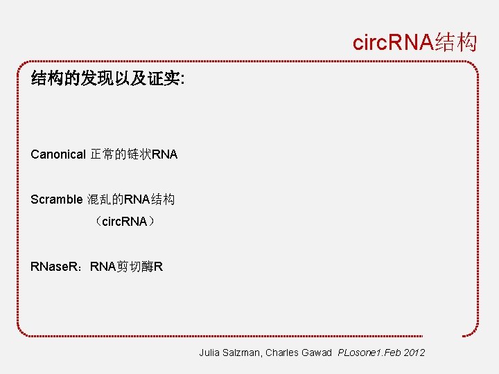 circ. RNA结构 结构的发现以及证实: Canonical 正常的链状RNA Scramble 混乱的RNA结构 （circ. RNA） RNase. R：RNA剪切酶R Julia Salzman, Charles