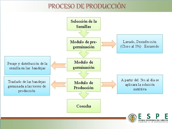 PROCESO DE PRODUCCIÓN Selección de la Semillas Modulo de pregerminación Pesaje y distribución de