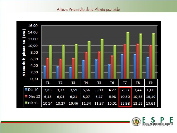 Altura Promedio de la Planta por ciclo 