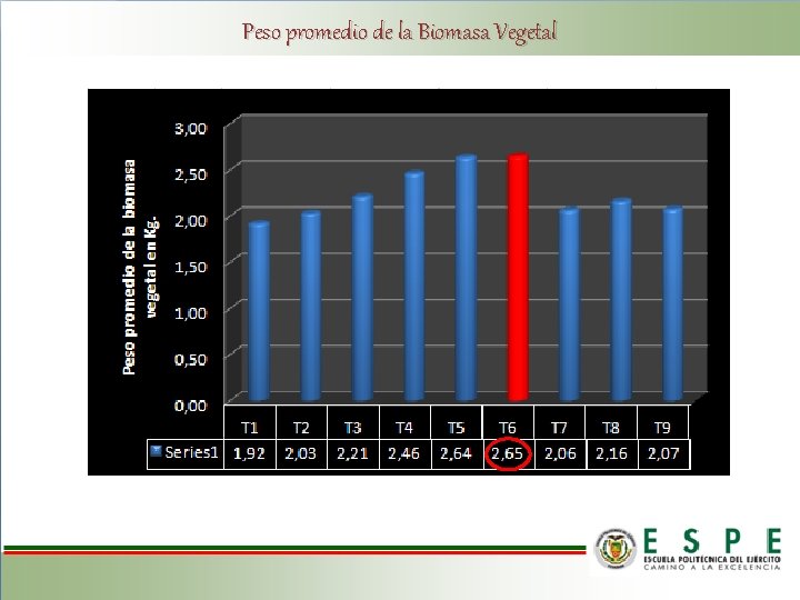 Peso promedio de la Biomasa Vegetal 