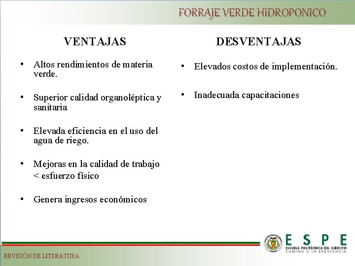 FORRAJE VERDE HIDROPONICO VENTAJAS DESVENTAJAS • Altos rendimientos de materia verde. • Elevados costos