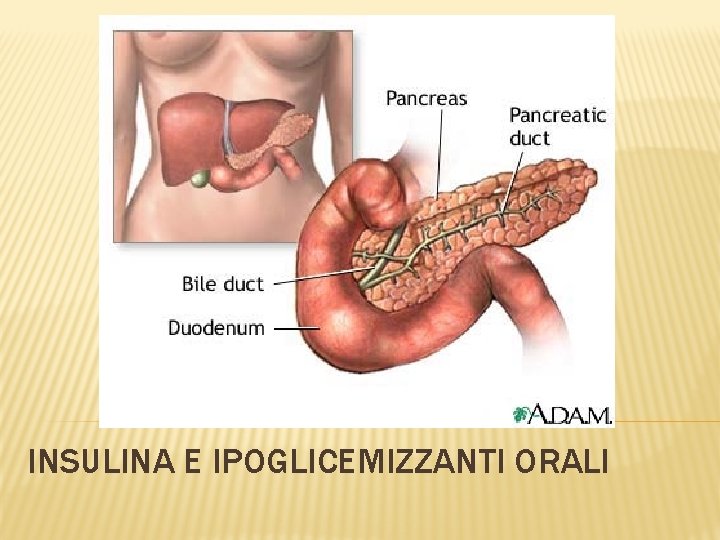 INSULINA E IPOGLICEMIZZANTI ORALI 