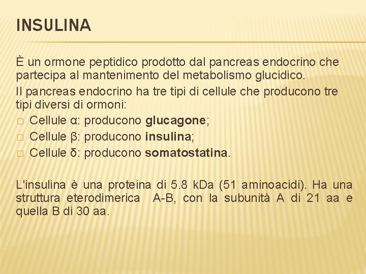 INSULINA È un ormone peptidico prodotto dal pancreas endocrino che partecipa al mantenimento del