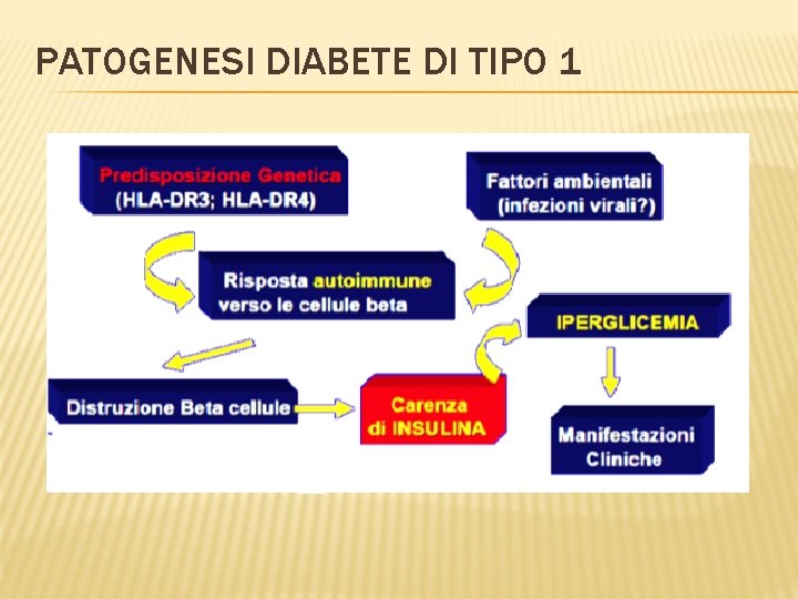 PATOGENESI DIABETE DI TIPO 1 