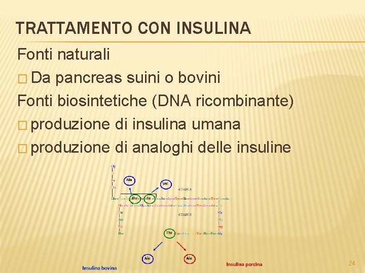 TRATTAMENTO CON INSULINA Fonti naturali � Da pancreas suini o bovini Fonti biosintetiche (DNA