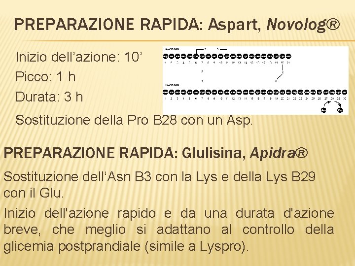 PREPARAZIONE RAPIDA: Aspart, Novolog® Inizio dell’azione: 10’ Picco: 1 h Durata: 3 h Sostituzione