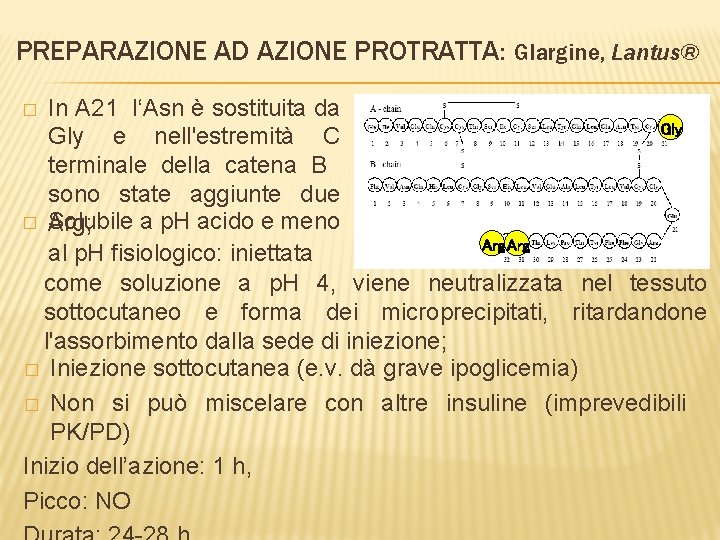 PREPARAZIONE AD AZIONE PROTRATTA: Glargine, Lantus® In A 21 l‘Asn è sostituita da Gly