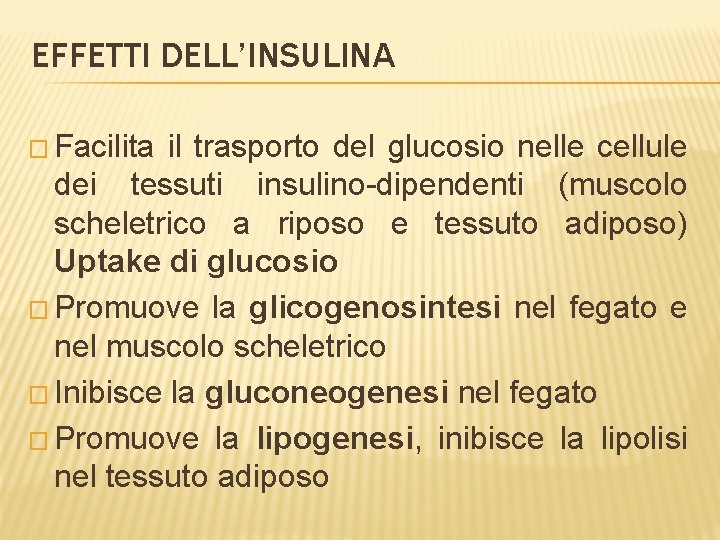 EFFETTI DELL’INSULINA � Facilita il trasporto del glucosio nelle cellule dei tessuti insulino-dipendenti (muscolo