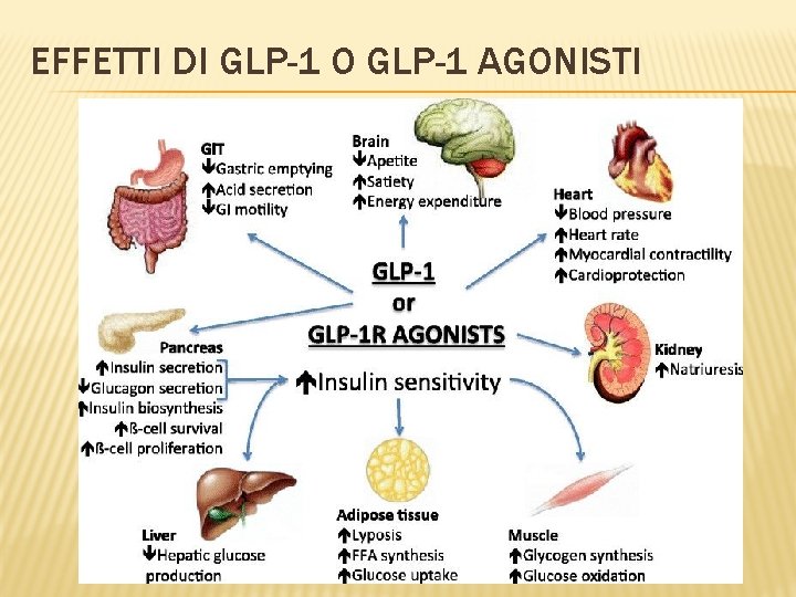 EFFETTI DI GLP-1 O GLP-1 AGONISTI 
